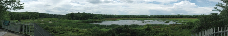 Friends of Huntley Meadows Park